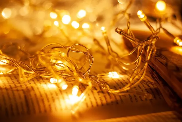 Ultimate Guide to Outdoor Decorative String Lights